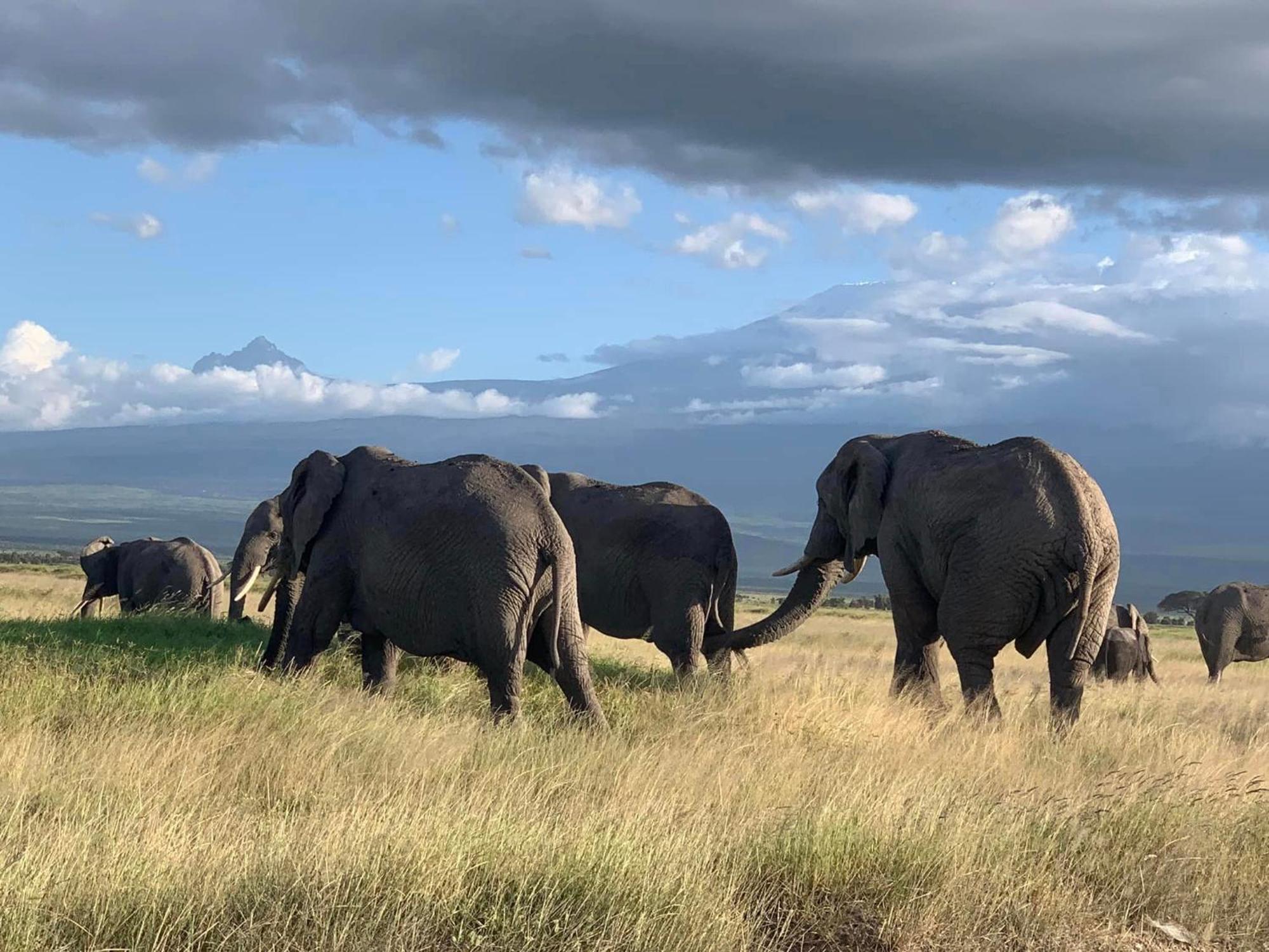 Amboseli Discovery Camp Eksteriør bilde