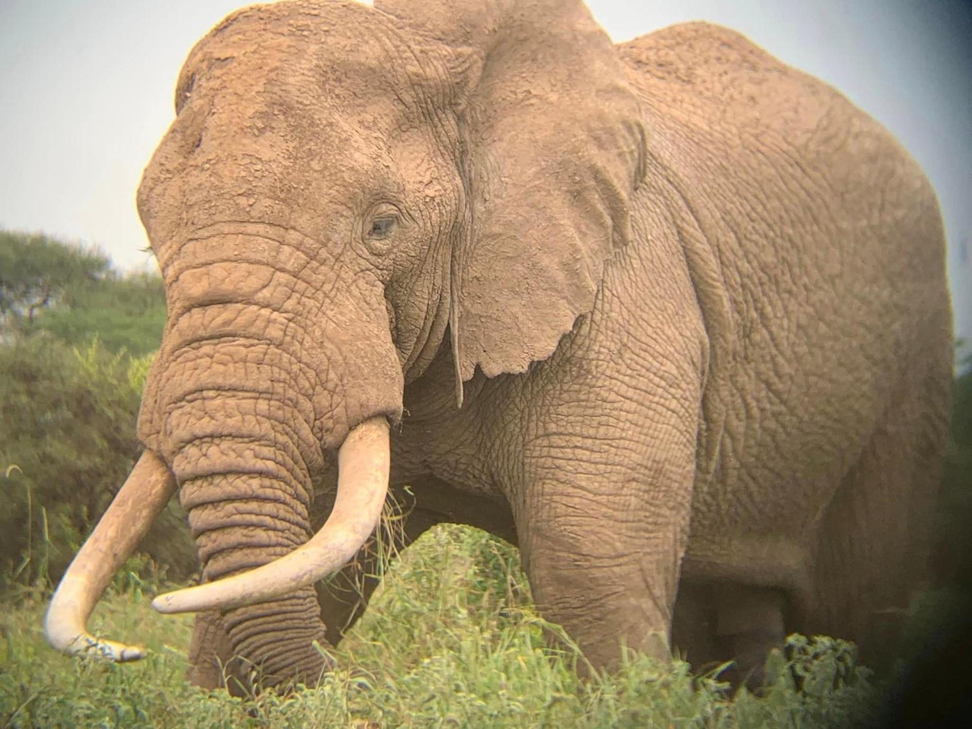 Amboseli Discovery Camp Eksteriør bilde