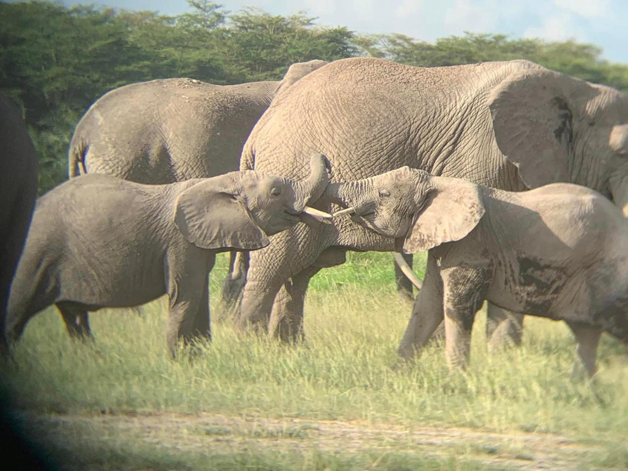 Amboseli Discovery Camp Eksteriør bilde