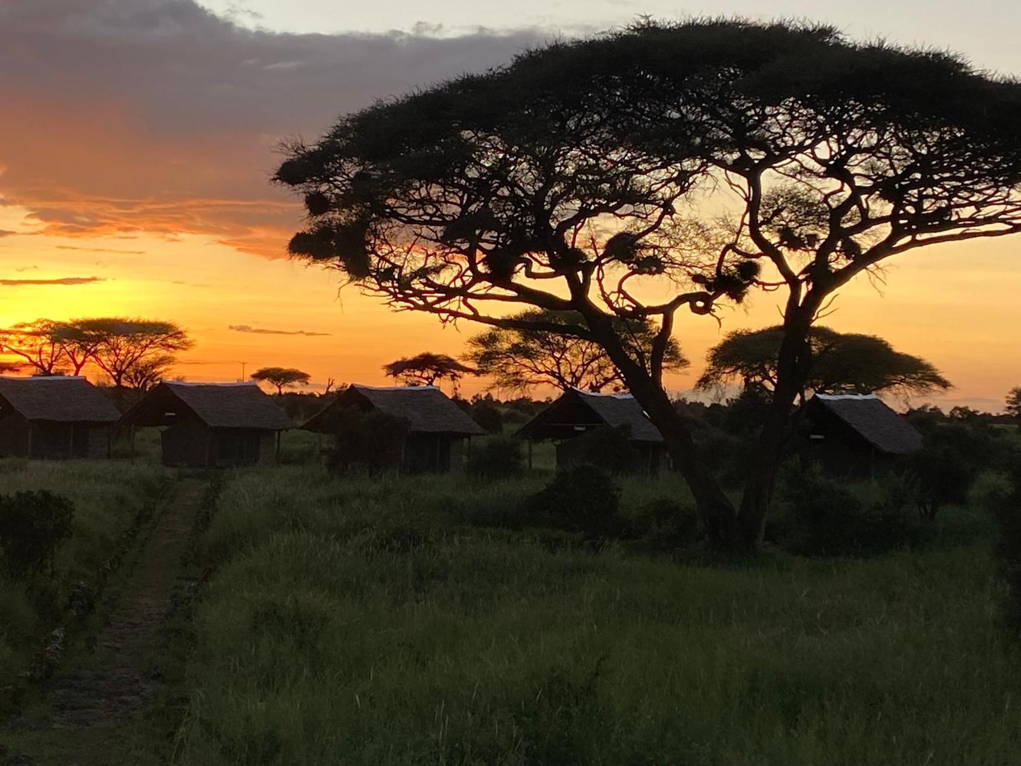 Amboseli Discovery Camp Eksteriør bilde