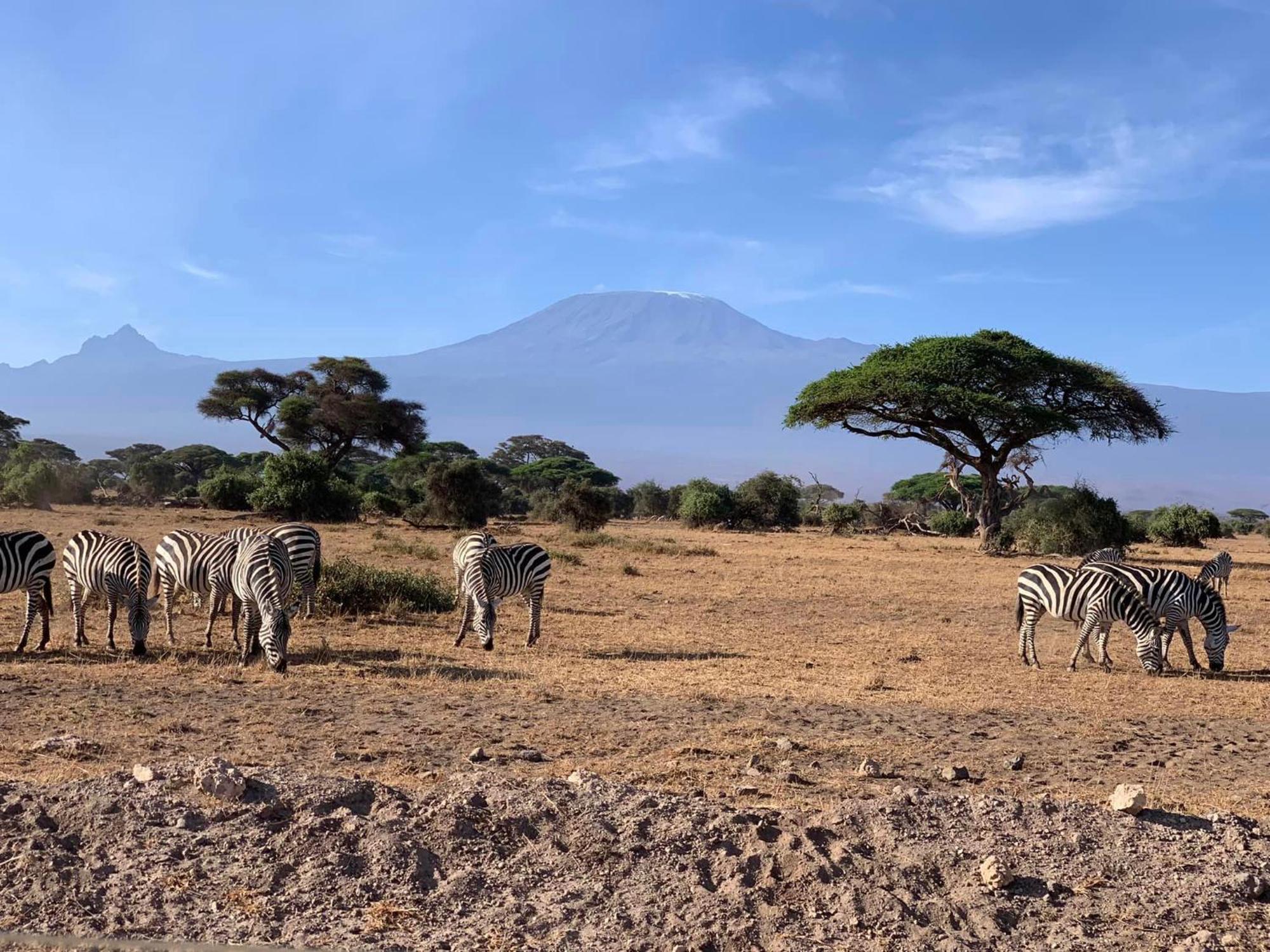 Amboseli Discovery Camp Eksteriør bilde