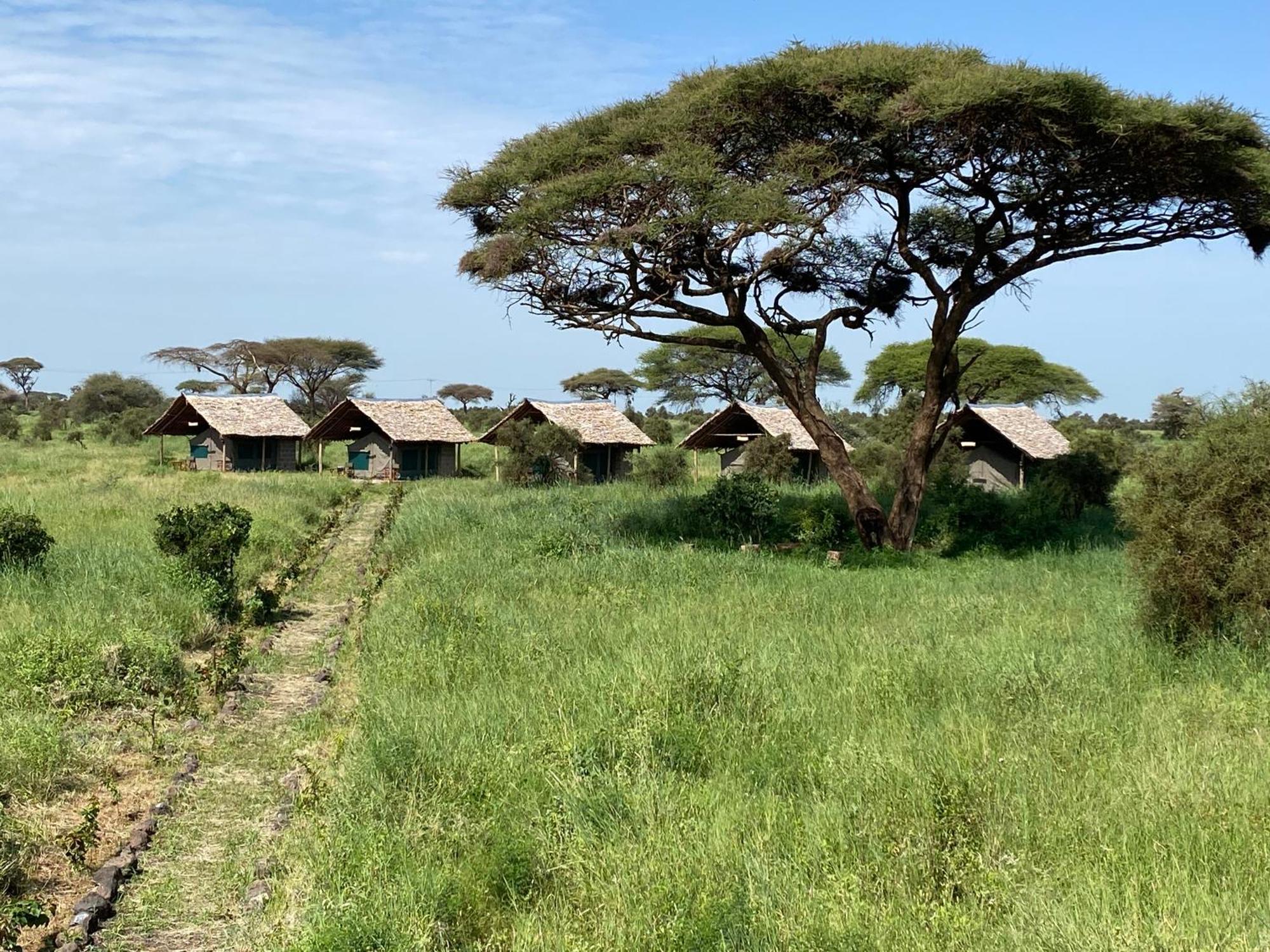 Amboseli Discovery Camp Eksteriør bilde