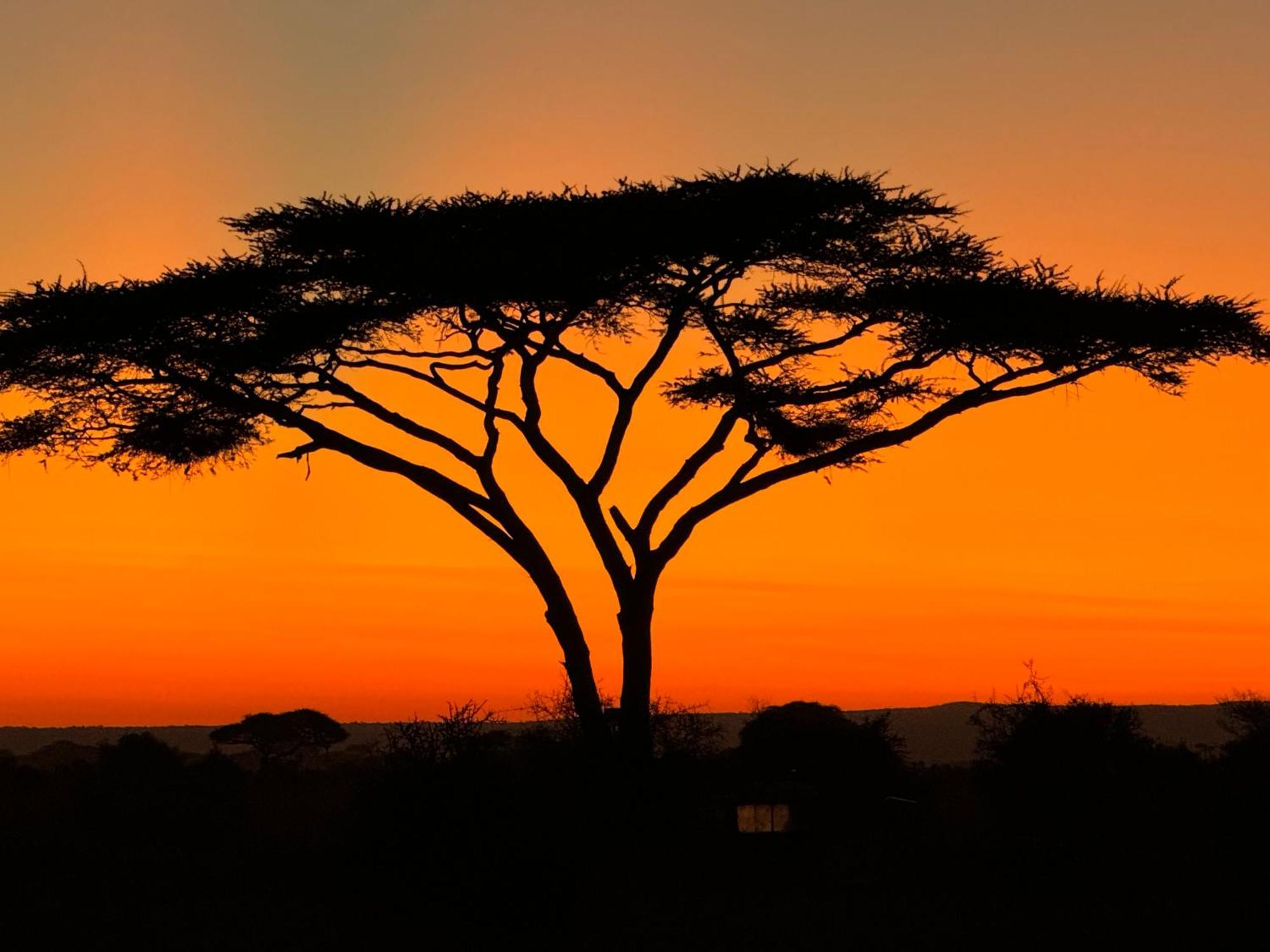 Amboseli Discovery Camp Eksteriør bilde