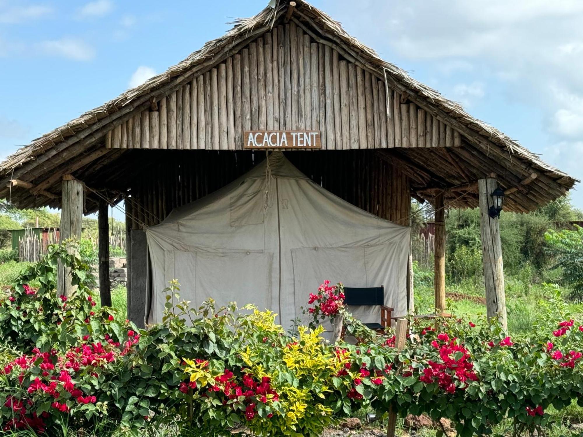 Amboseli Discovery Camp Eksteriør bilde